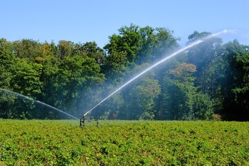 Trockenheit in Deutschland Bewässerung von Feldern