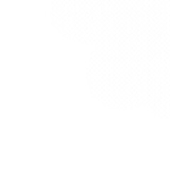 Irregular Freeform aesthetic abstract Handdraw Organic Shape.