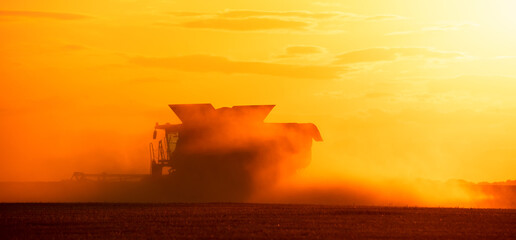 Fototapeta na wymiar Cereal harvest, harvester harvests in the field.