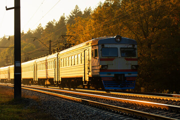 Fototapeta premium An old passenger train moves through the forest at dawn.