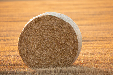 Round bales on the field. View from a drone.