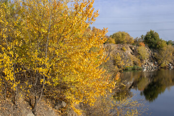 Fototapeta premium Autumn colors in sunny day on lake in city park. Landscape golden foliage and reflection of trees in calm water. Colorful plants on stone bank of pond. Autumn reflections. Fall bright. Beauty in natur