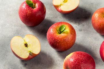 Raw Red Organic Cosmic Crisp Apples