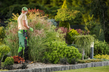 Naklejka na ściany i meble Professional Gardener Performing Backyard Garden Plants Check