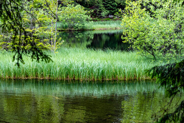 Obraz premium The beautiful mountain lake Vrbicke Pleso in the Low Tatras in Slovakia