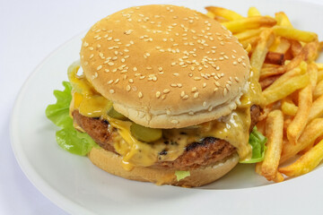 burger et frites  en gros plan dans une assiette
