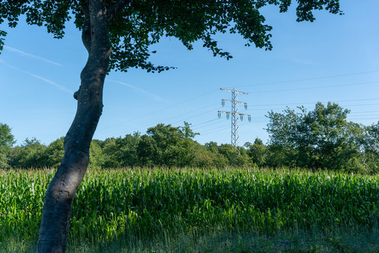 Field with high voltage electric line near Driedorp in The Netherlands. © Fons