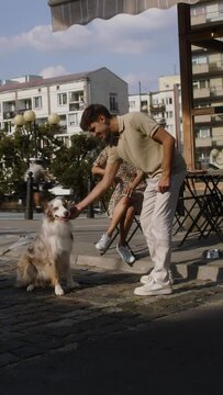 A young couple is watching a border collie dog doing a trick