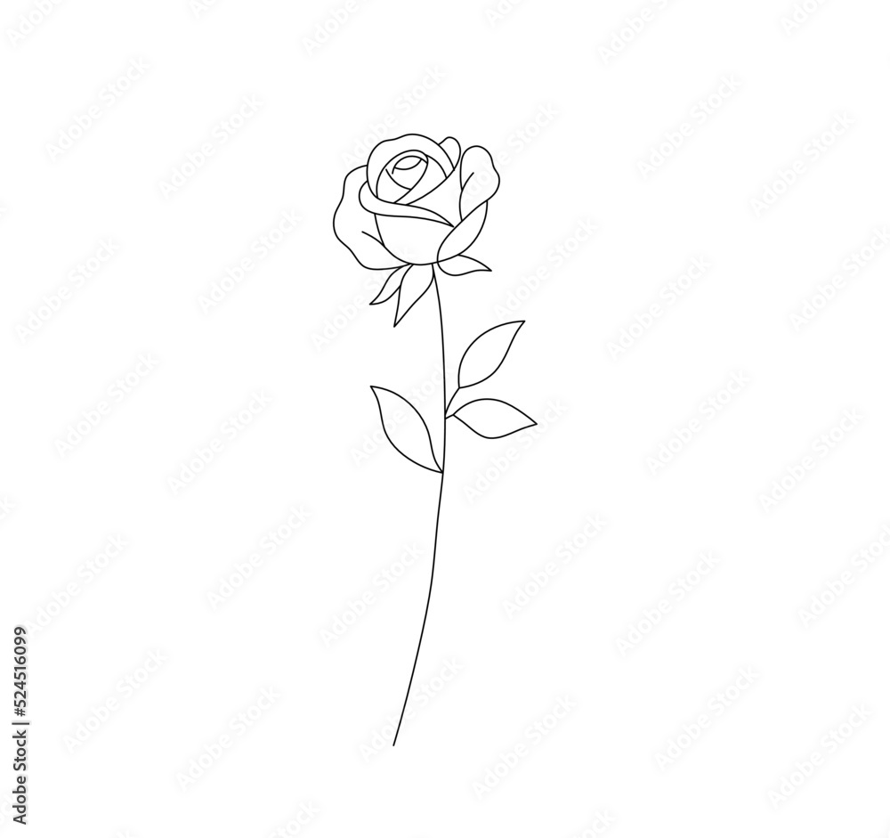 Wall mural vector isolated one vertical rose with long stem colorless black and white contour line easy drawing