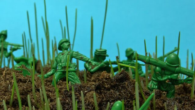 Camouflaged army of toy soldiers on battlefield fight with enemy among sprouting grass in timelapse. Installation is collapsing due to force of nature. Theme of the senselessness of war and pacifism.
