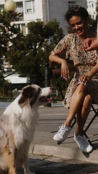A young couple is watching a border collie dog doing a trick