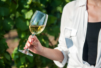 Girl holding a glass of white wine against the background of a vineyard in summer close-up