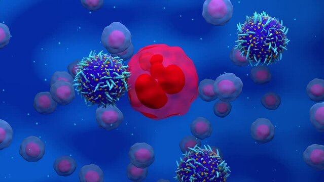 CAR T-cells attack fight and destroy cancer cell 3d render animation