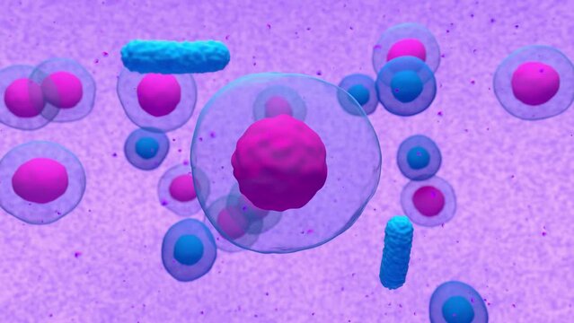 Abnormal plasma cell or b-cell in multiple myeloma emitting paraprotein 3d render animation.