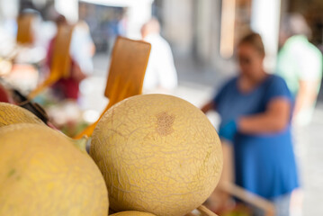 Close-up cantaloupe melon on food market in Padova Italy