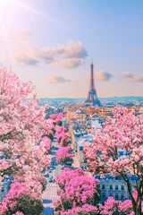 Schilderijen op glas Paris city in the springtime © Stockbym