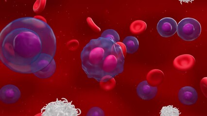 Activated t-cells attack and destroy a divided lymphoma cell