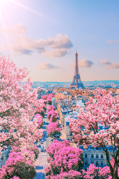 Paris city in the springtime