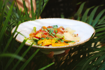 Delicate salad with ripe peach, cherry tomatoes, prosciutto, Parmesan cheese and honey-mustard sauce against the backdrop of palm leaves. Dishes of Italian and Lebanese cuisine.Creative copy space.