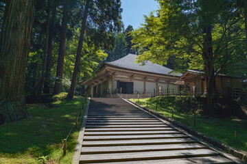 Fototapeta premium 岩手平泉 中尊寺 金色堂