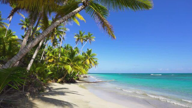 Thailand coastline with white sand and palm trees. Uninhabited island in the ocean. Blue sea waves on a white tropical beach. Camera without movement.