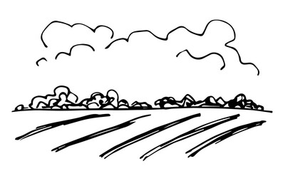 Simple black outline vector drawing. Summer landscape, farm fields, bushes on the horizon, clouds. Agricultural plants, cultivation. Sketch in ink.