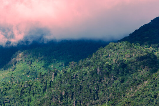 Mountains in rural Guatemala, Central America, source of oxygen and drinking water, endangered areas due to demographic exploitation, climate change, limited green space. © Byron Ortiz
