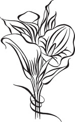 Callas flower graphic. Bouquet of calla flowers. Stylized outline drawing calligraphy. Black and white vector illustration. Calligraphic drawing. Design for postcards, congratulations, tattoo.
