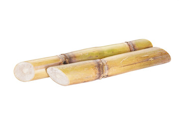 Sugarcane isolated on white background, closeup.