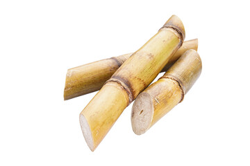 Sugarcane isolated on white background, closeup.