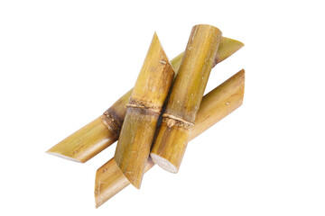 Sugarcane isolated on white background, top view.