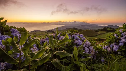 Tuinposter Sunrise at Azores islands, travel Portugal, with hydrangeas. © Ayla Harbich