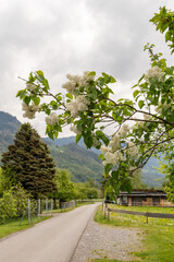 Fototapeta na wymiar Natural scenery in Vaduz in Liechtenstein