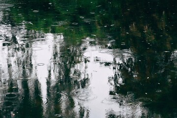 reflection in the water