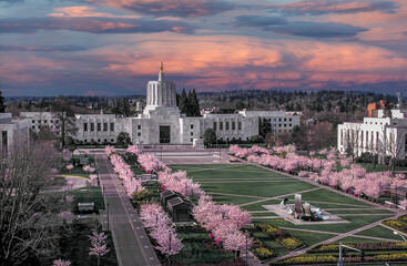 An aerial view of the Oregon State Capitol building with flowering cherry trees in full blossom on the capitol mall in forground, Salem Oregon