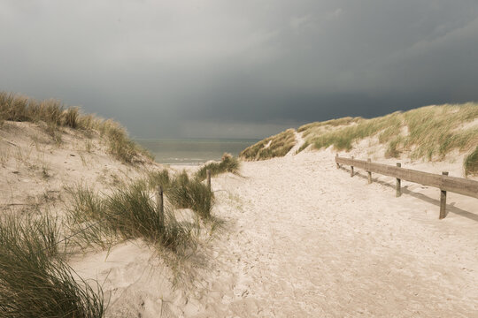 path to the beach through the dunes - Powered by Adobe