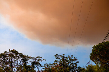 Smoke in the sky in Gironde, during forest fires/Fumées dans le ciel en Gironde, durant les incendies de forêts