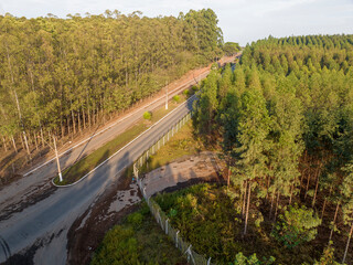 Foto aérea, de floresta de reflorestamento, com eucaliptus voltado para a fabricação de papel e celulose, em Limeira, São Paulo, Brasil
