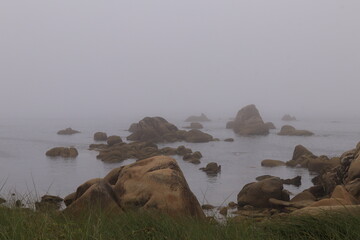 Fototapeta na wymiar Sea fog on the rocks