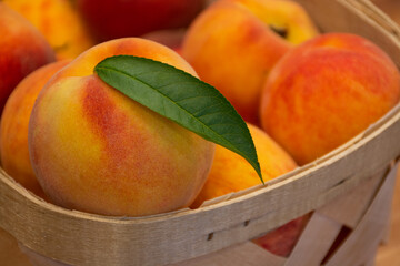 Basket full of peaches. - 524528637