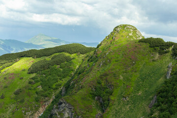 Magical summer dawn in the Carpathian mountains. Region Maramures Mountains, Mount Pip Ivan,...
