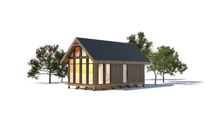 Exterior view of the farmhouse. Country house. A small country house on stilts. 3D render.