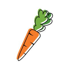 Harvesting. Autumn harvest of vegetables. Carrot. Carrot icon in doodle style