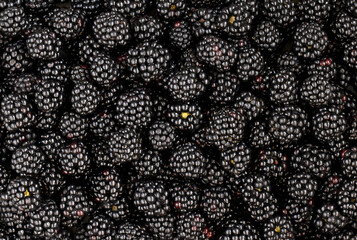 Fresh ripe blackberry pattern. Juicy, large blackberry wallpaper. View from above,