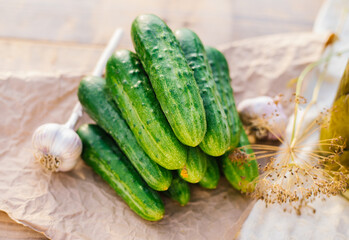 Cucumbers, herbs, dill, garlic on a wooden table in the garden or vegetable garden. Harvesting. Conservation, canning. Background, copy space. Sunny bright day.