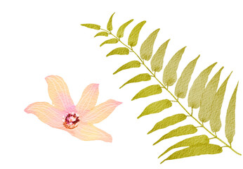 red and yellow orchid flower and green palm leaf