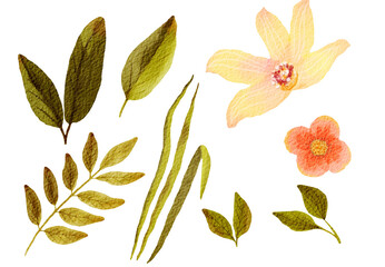 Tropical flowers and leaves watercolor hand drawn digital illustration