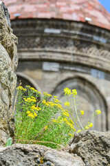 Tomb details and spring flowers in Twin Minaret Madrasah and Turkish flag in Erzurum , Turkey - The madrasah was built in 1271 by Khudavand Khatun, the daughter of Seljuq Sultan Kayqubad I. 