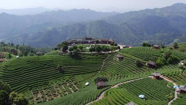 Aerial photography of alpine tea gardens in Guangxi, China