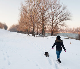 Teenage girl walking her dog in winter snow